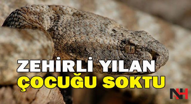 Manisa'da yılanın soktuğu çocuk yoğun bakımda