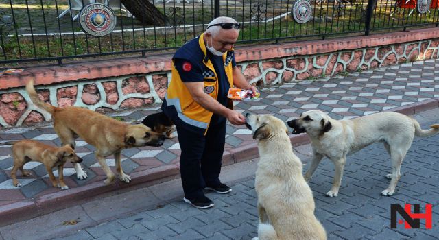 Sokak hayvanları onun yolunu gözlüyor