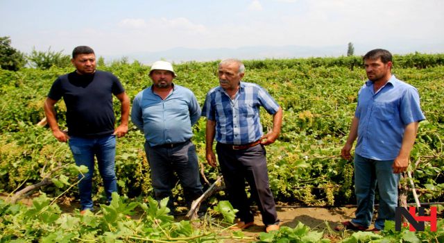 Sarıgöl’de dolu ve fırtına zarara yol açtı