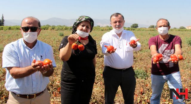 CHP Manisa'dan Erdoğan'ın Doğalgaz müjdesine ilk yorum