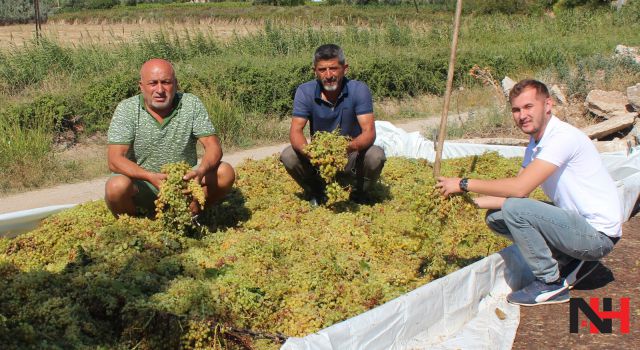 Düşük kalite üzümde fiyatlar tatmin etmedi