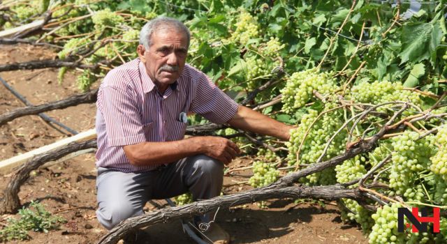 Sel felaketi bu yıl çiftçileri perişan etti