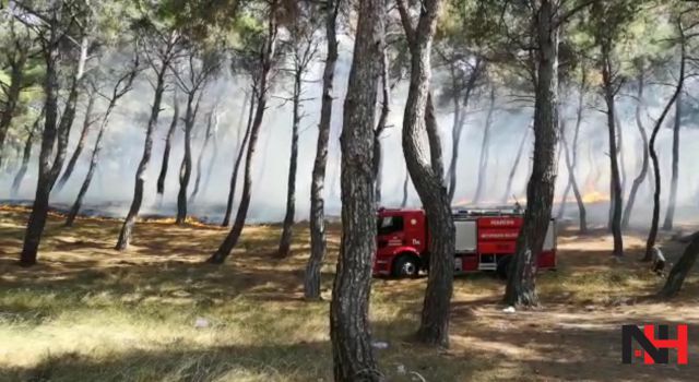 Soma'da orman yangını