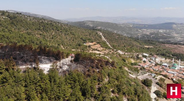 İtfaiyenin çabası bir mahalleyi kül olmaktan kurtardı