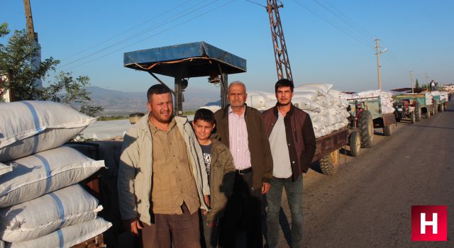 TMO'nun çekirdeksiz kuru üzüm alımları başladı