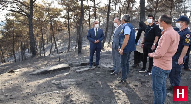 Vali Karadeniz yangın bölgesini inceledi