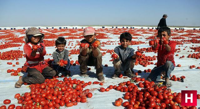 Bakanlık harekete geçiyor 12 bin çocuğu kapsıyor