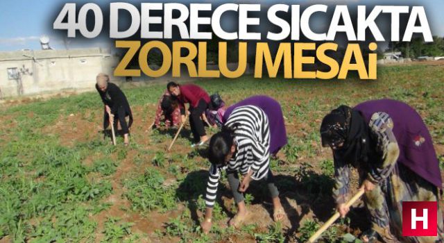 40 derece sıcakta zorlu mesai