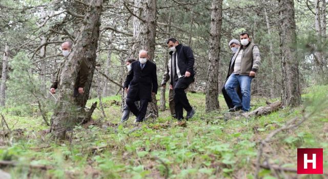 'Sıfır Atık Projesi' 6 bin ağacın kesilmesini önledi