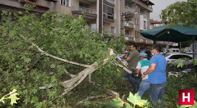 Yağmur ve fırtına ilçeleri vurdu hayvanlar telef oldu ağaçlar yıkıldı