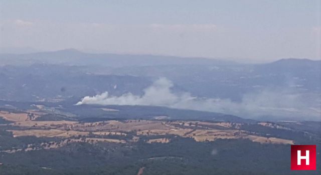 Manisa'da orman yangını kontrol altına alındı