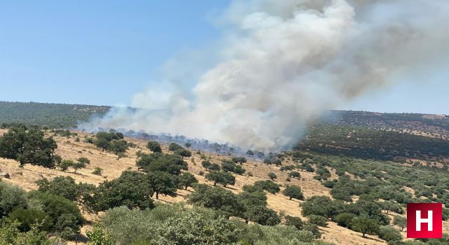 Yunusemre'de makilik alanda yangın çıktı