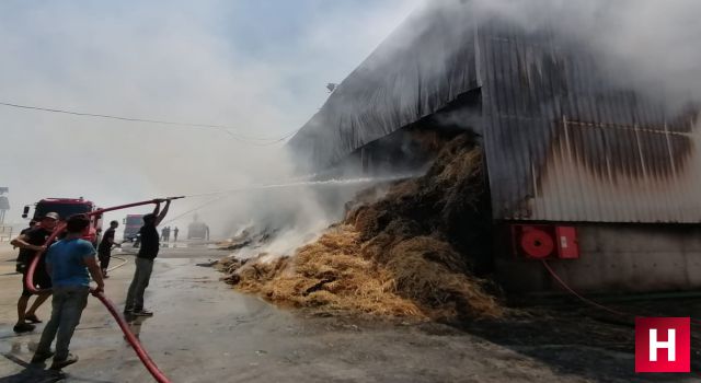 150 ton saman yangında küle döndü