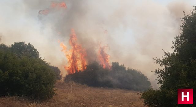 Manisa'da orman yangını başladı ekiplerin müdahalesi sürüyor