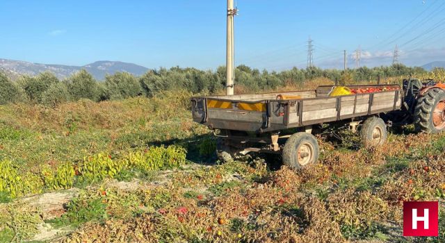 Traktörün altında kalan kadın hayatını kaybetti