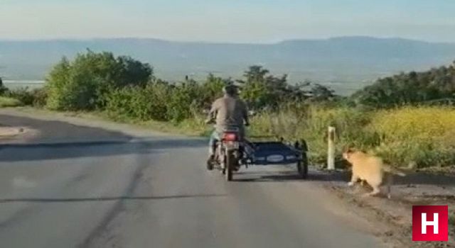 Köpeği motosikletin arkasına bağlayıp sürükledi