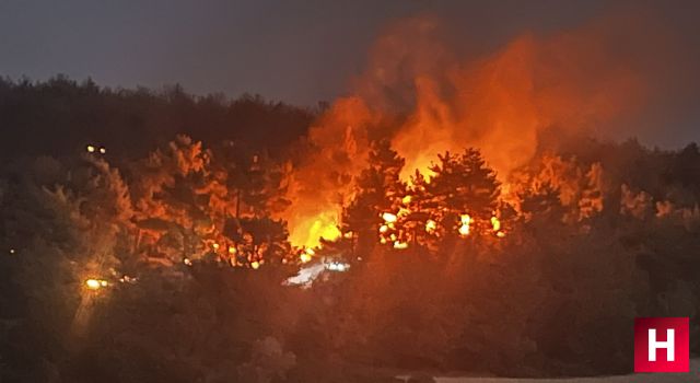 Akhisar'da ki orman yangını sürüyor Başkan Dutlulu'dan yeni açıklama geldi