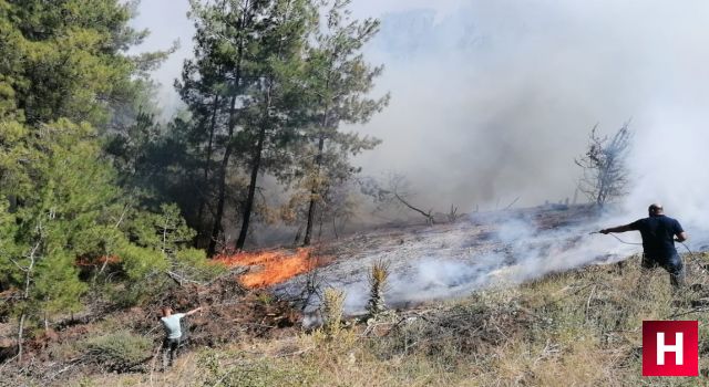 Manisa'da ki orman yangını büyüyor