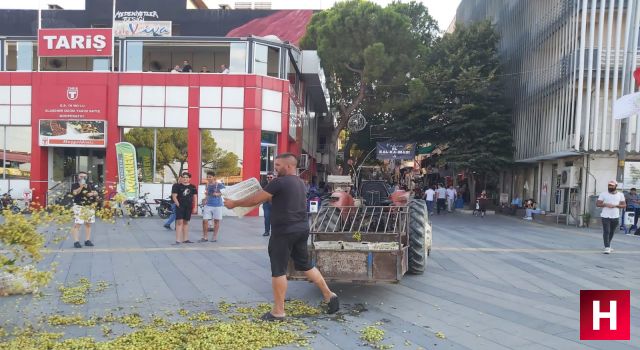 Manisa'da bir çiftçi bağından getirdiği üzümleri TARİŞ'in önüne döktü