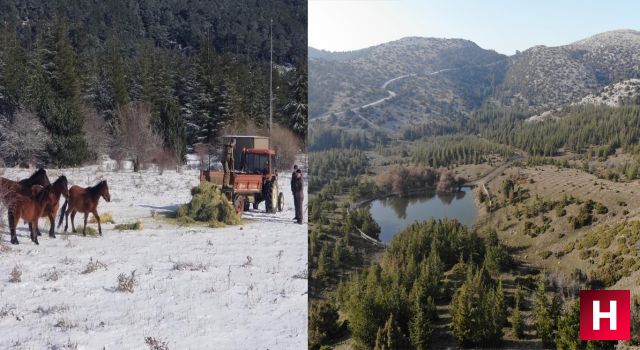 Geçen yıl karla kaplanan Spil, bu yıl kara hasret kaldı