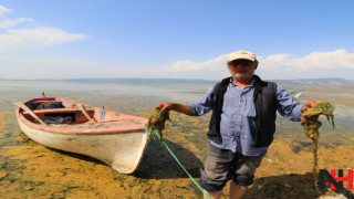 Marmara Gölü'nde korkutan manzara