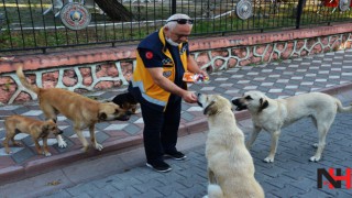 Sokak hayvanları onun yolunu gözlüyor