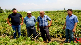 Sarıgöl’de dolu ve fırtına zarara yol açtı