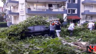 Şiddetli fırtına Alaşehir'de büyük hasara neden oldu