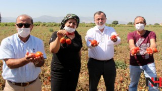 CHP Manisa'dan Erdoğan'ın Doğalgaz müjdesine ilk yorum