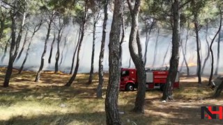 Soma'da orman yangını