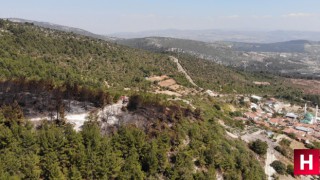 İtfaiyenin çabası bir mahalleyi kül olmaktan kurtardı