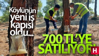 Kilosu 700 TL'ye satılıyor