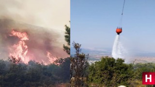 Manisa'da orman yangını