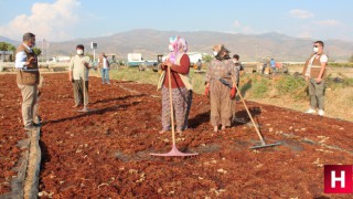 Manisa'da üreticilere fiyat uyarısı