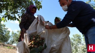 Mesleğini bıraktı köylünün de hayatını değiştirdi