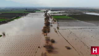 Gediz Ovası sular altında kaldı üretici durumdan memnun