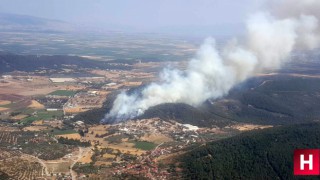 Foça'da rüzgarında etkisiyle büyüyen yangın yerleşim yerlerini tehdit ediyor