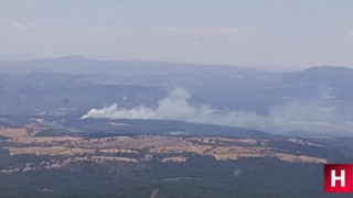 Manisa'da orman yangını kontrol altına alındı