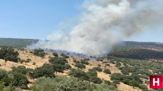 Yunusemre'de makilik alanda yangın çıktı