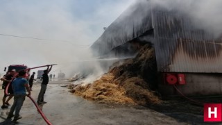 150 ton saman yangında küle döndü