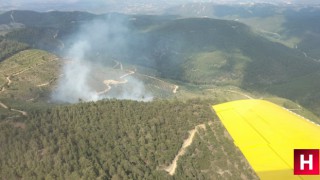 Manisa'da çıkan orman yangını kontrol altında