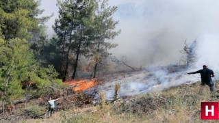 Manisa'da ki orman yangını büyüyor