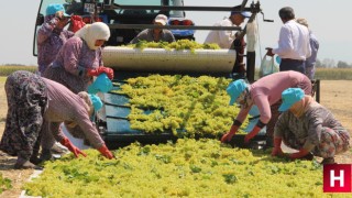 Üreticinin gözü kulağı açıklanacak fiyatta